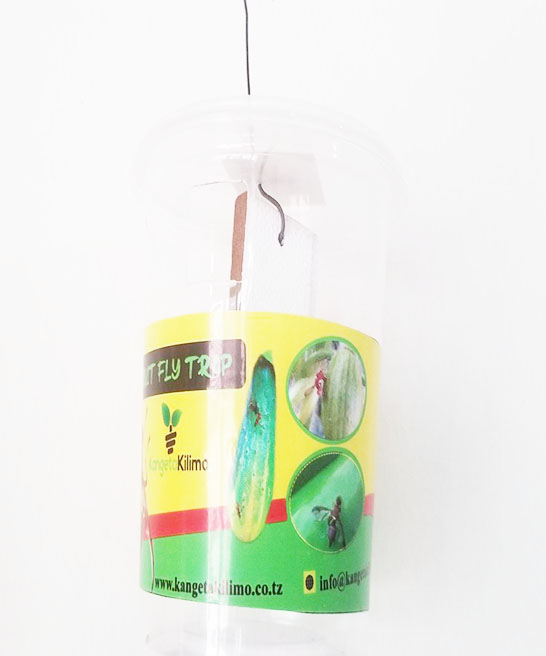 Fruit Fly Trap
